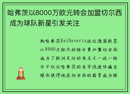 哈弗茨以8000万欧元转会加盟切尔西 成为球队新星引发关注 哈弗茨以8000万欧元转会加盟切尔西 成为球队新星引发关注